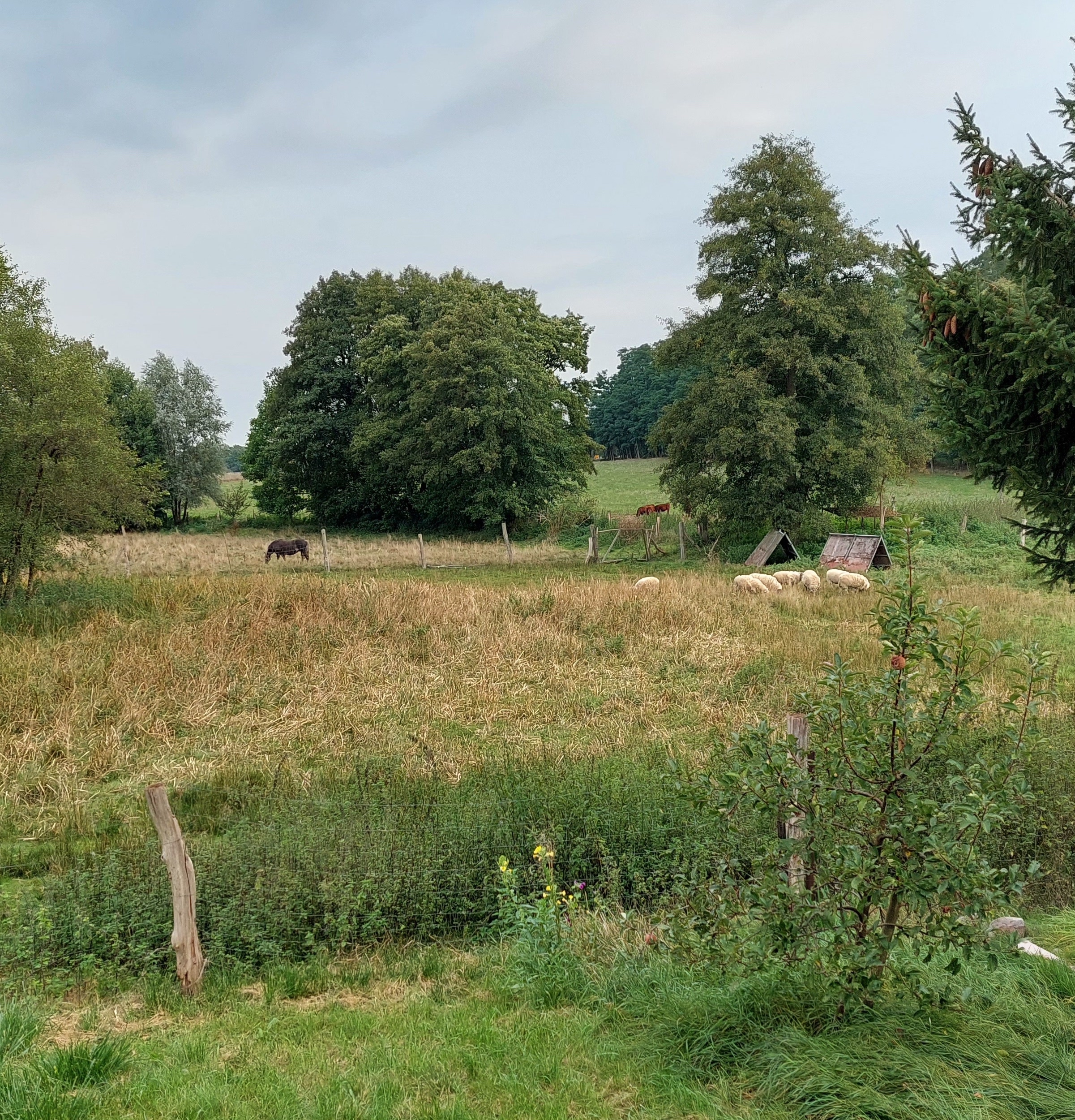 Havel Alm Kratzeburg | Blick aus dem Garten nach Norden