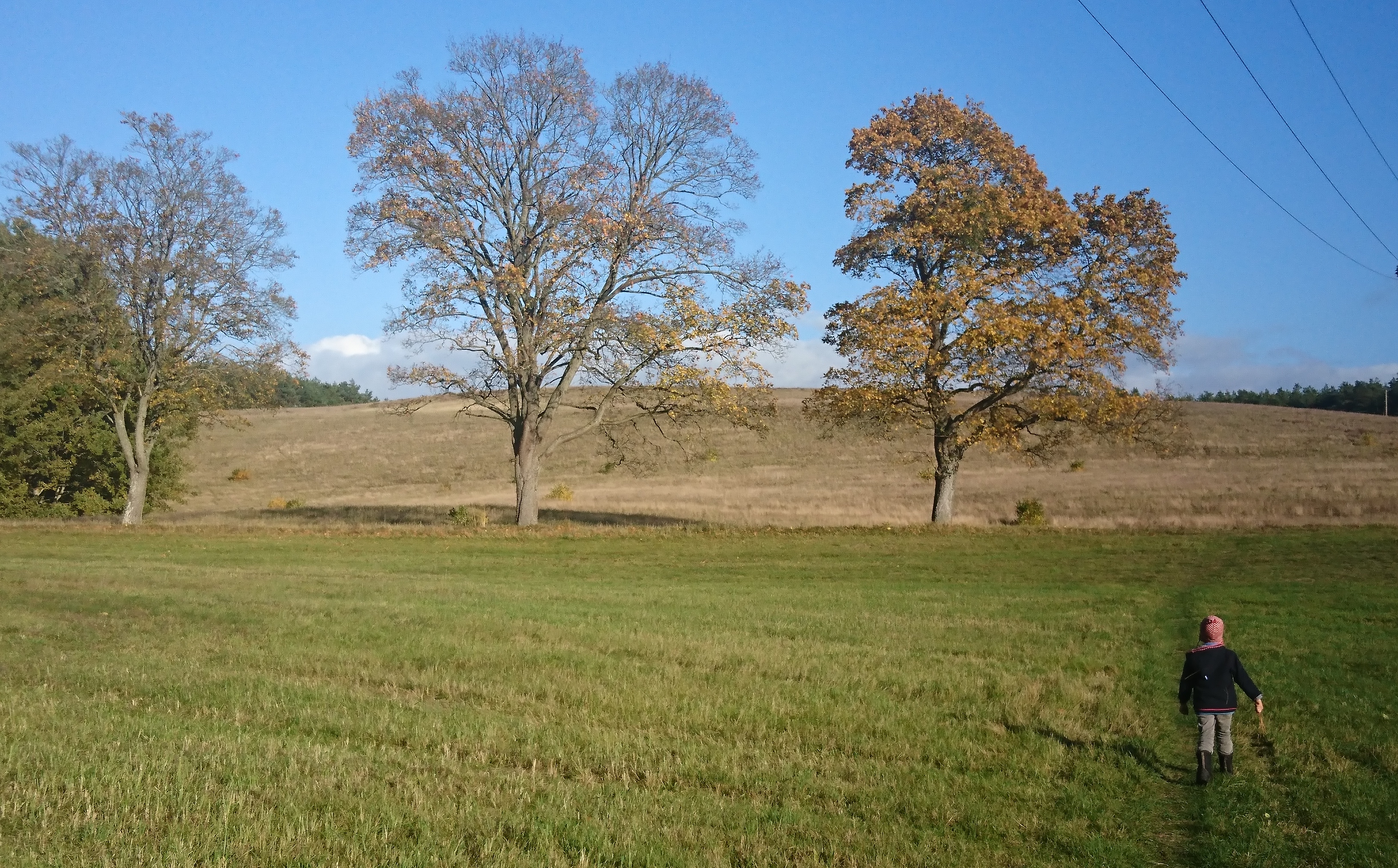 Havel Alm Kratzeburg | Am Dambecker See