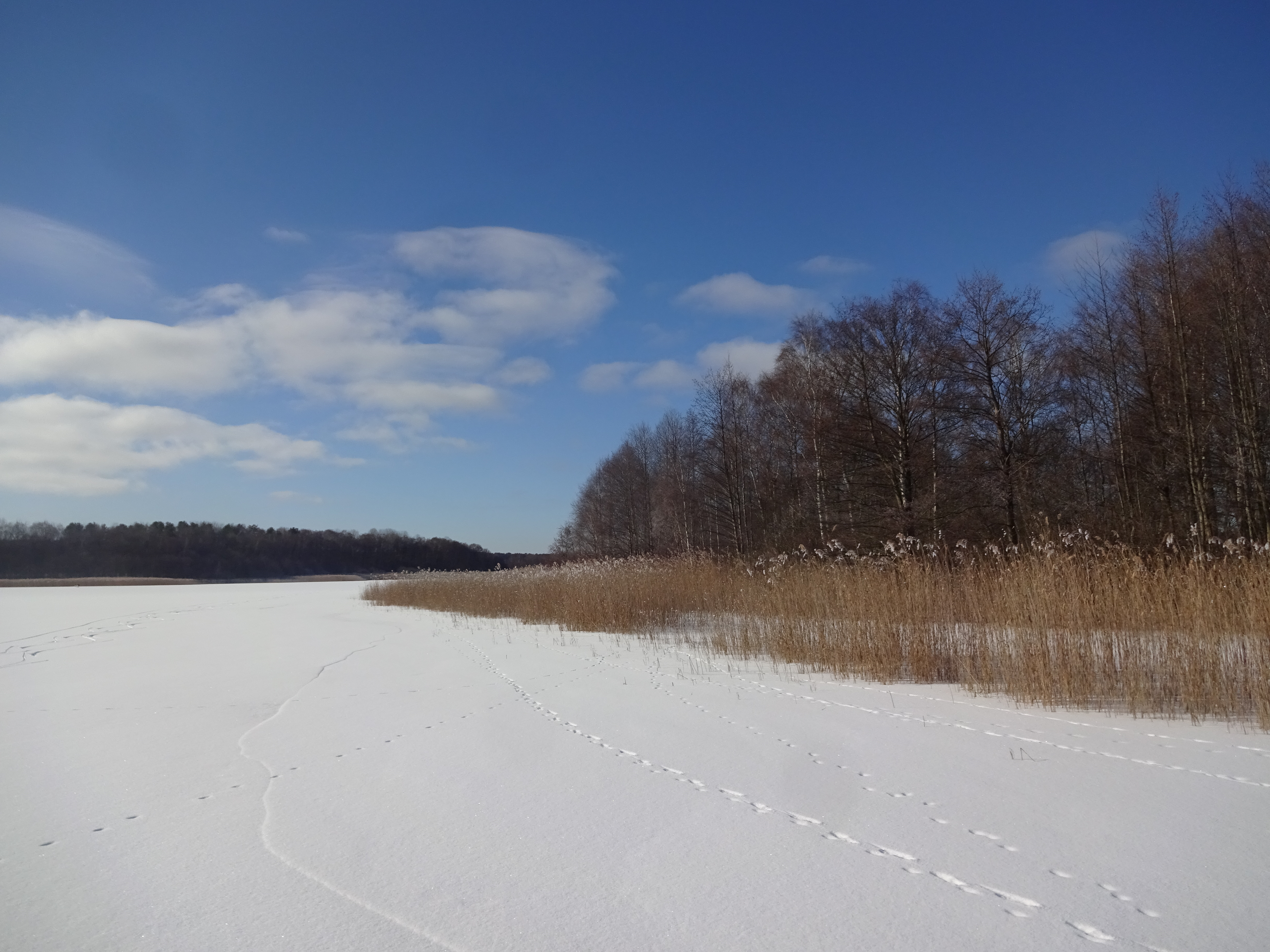 Havel Alm Kratzeburg | Auf dem zugefrorenen Käbelicksee