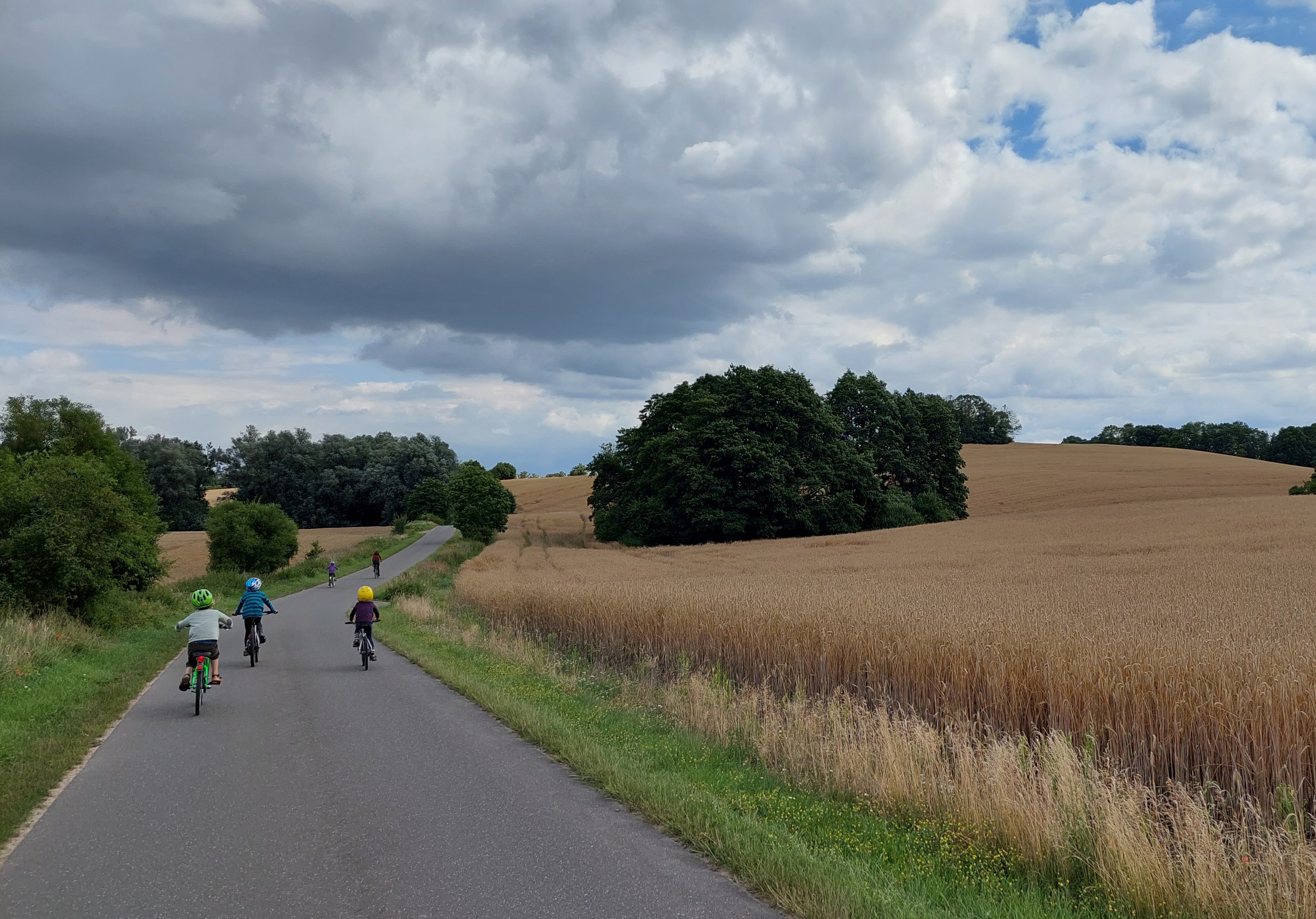 Havel Alm Kratzeburg | Radweg zwischen Liepen und Klein Vielen