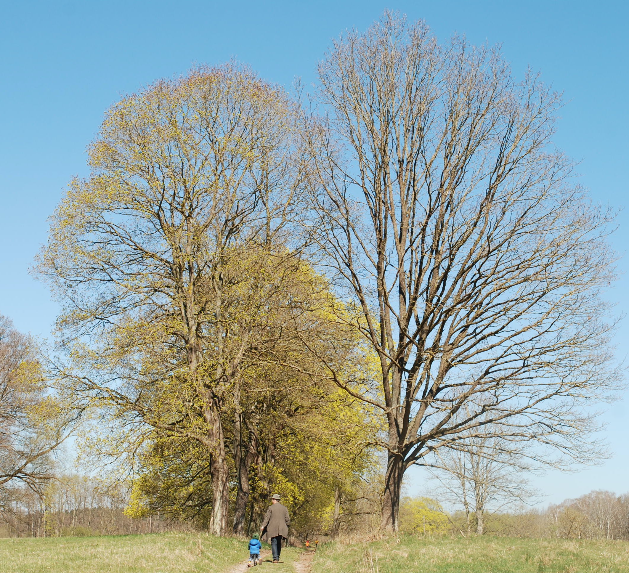 Havel Alm Kratzeburg | Wanderweg Richtung Pieverstorf