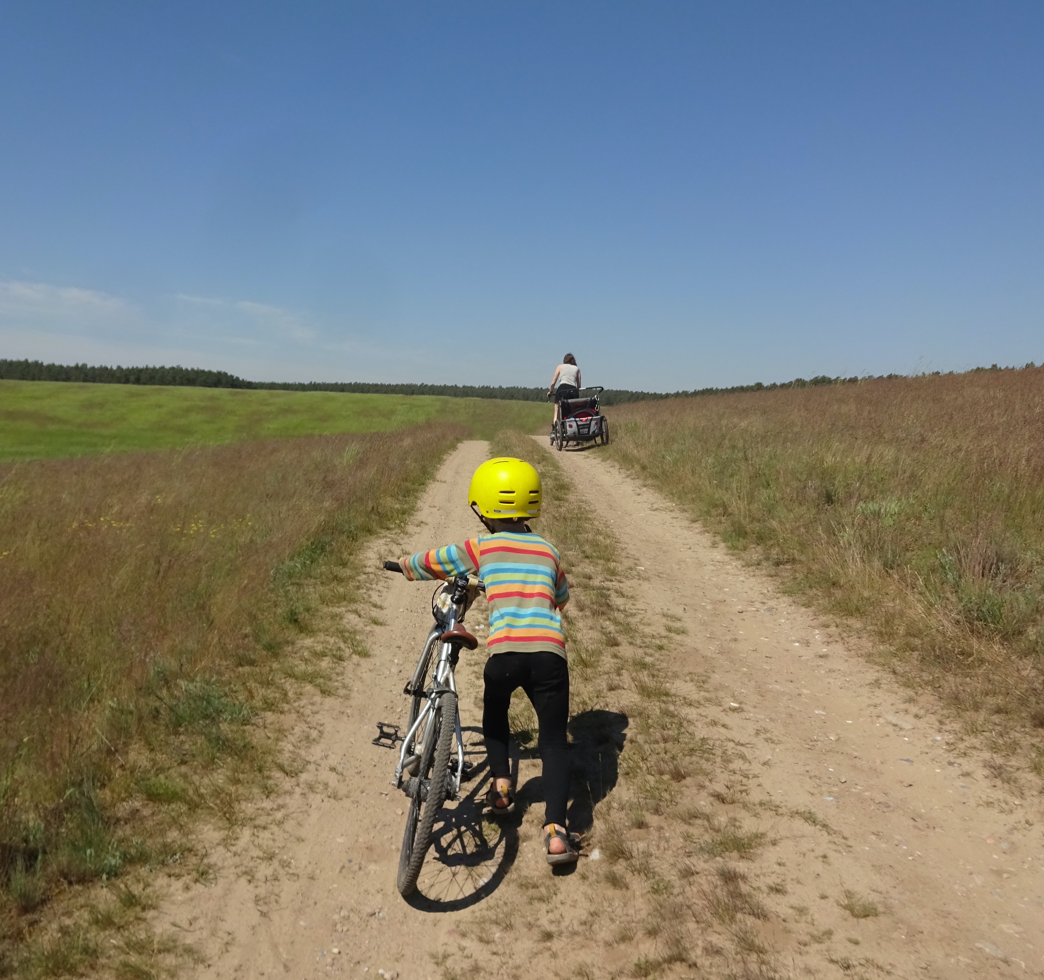 Havel Alm Kratzeburg | Weg von Dambeck nach Bornhof