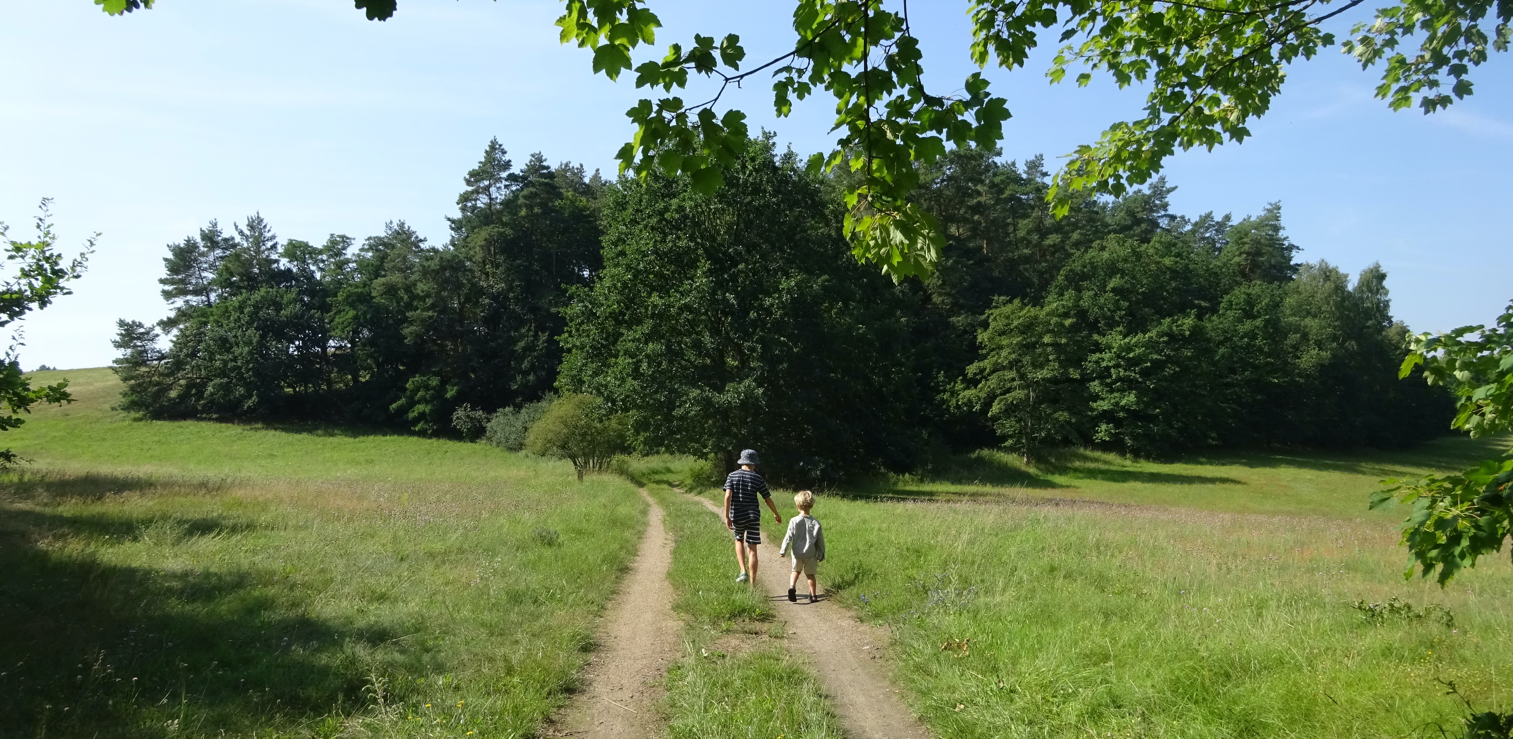 Havel Alm Kratzeburg | Weg zwischen Pieverstorf und Dambeck