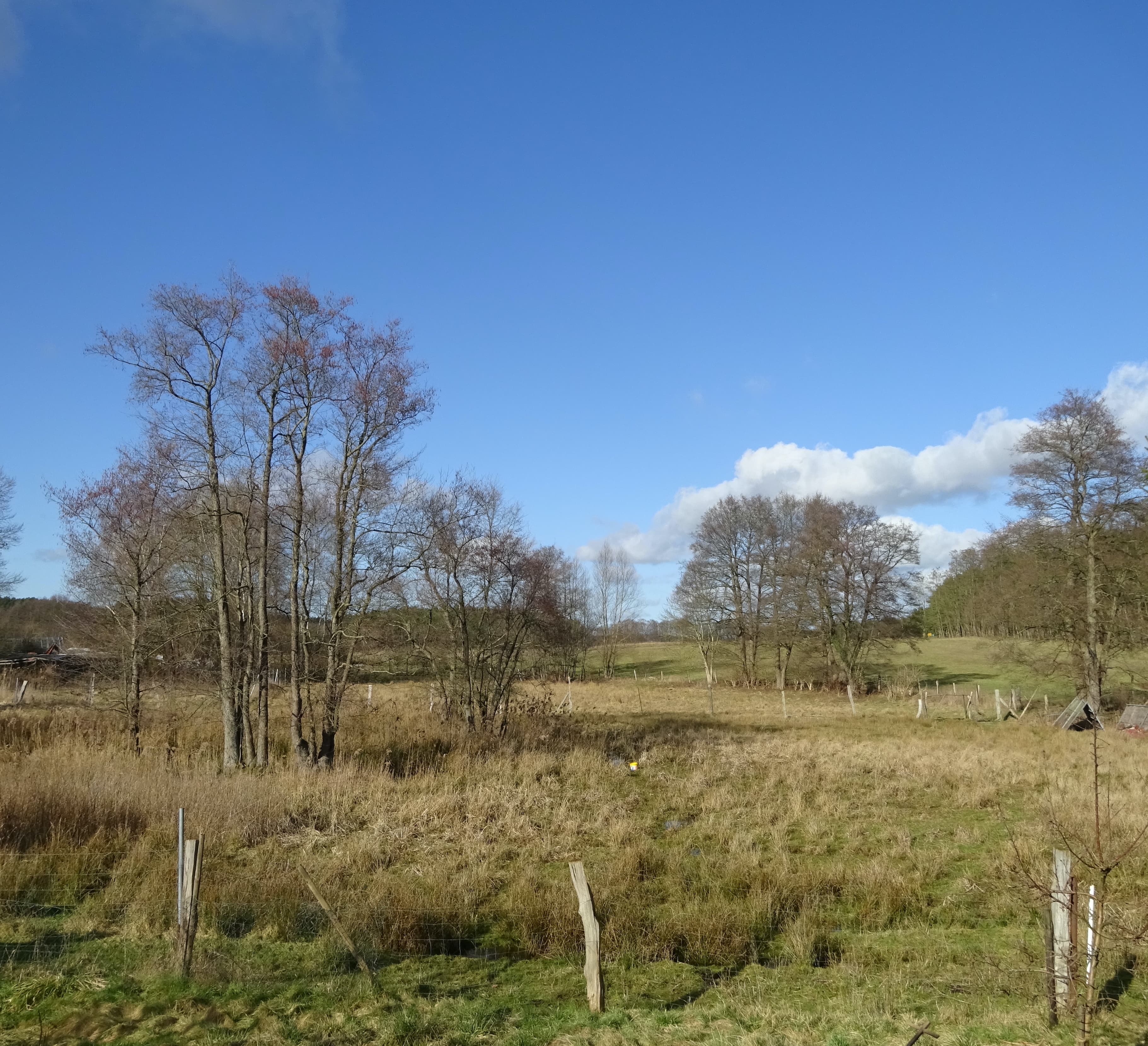 Havel Alm Kratzeburg | Blick aus dem Garten nach Norden