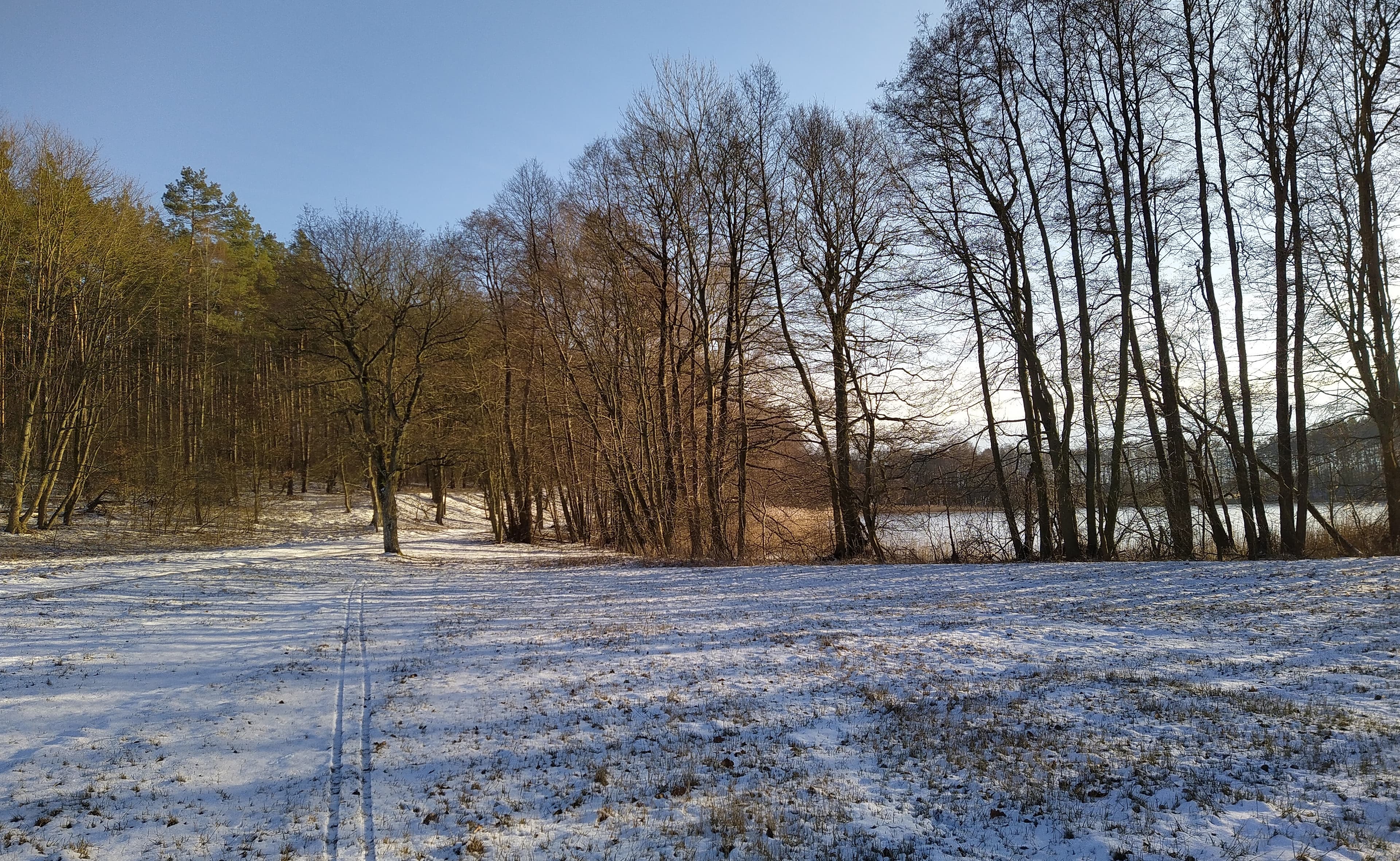 Havel Alm Kratzeburg | Am Röthsee zwischen Dambeck und Kratzeburg