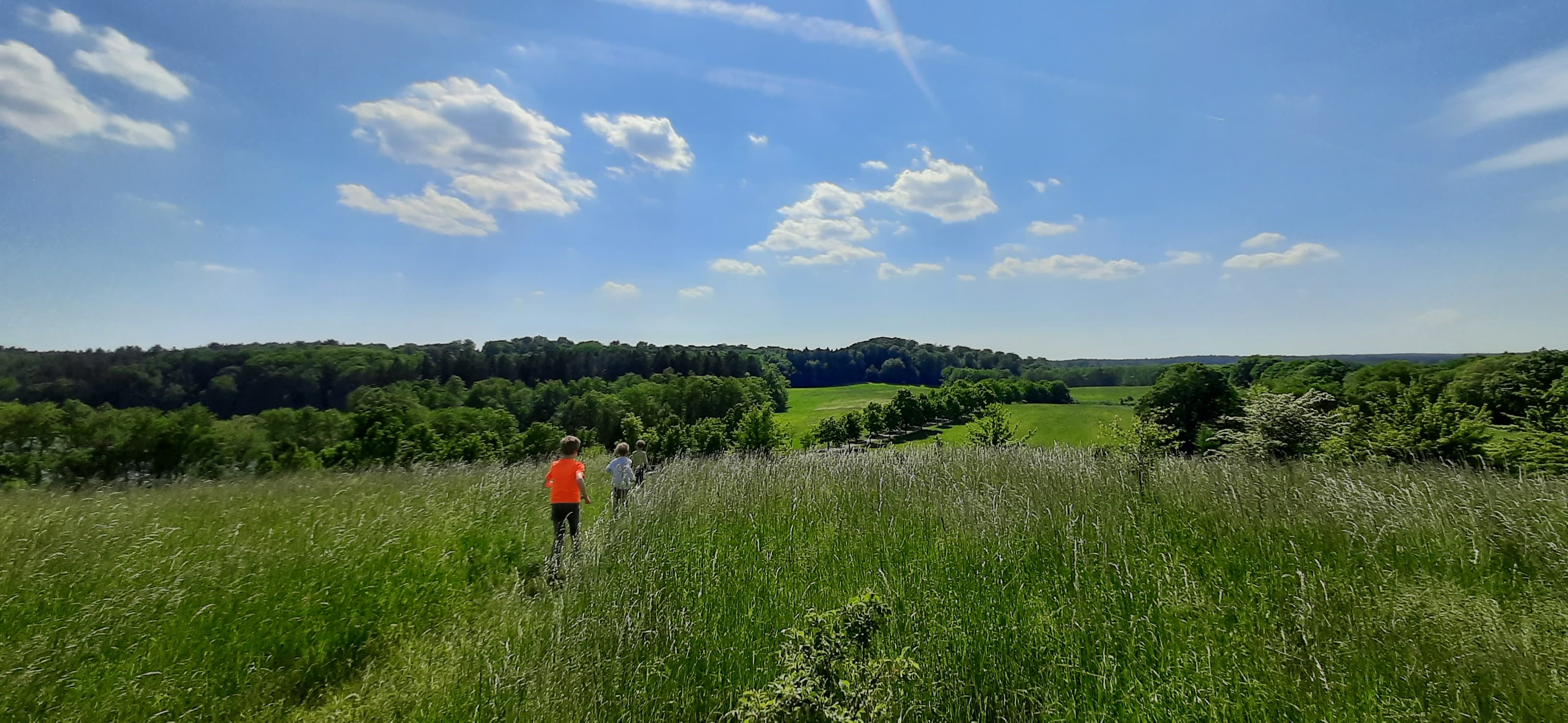 Havel Alm Kratzeburg | Auf dem Schäferberg (96m) zwischen Pieverstorf und Hartwigsdorf