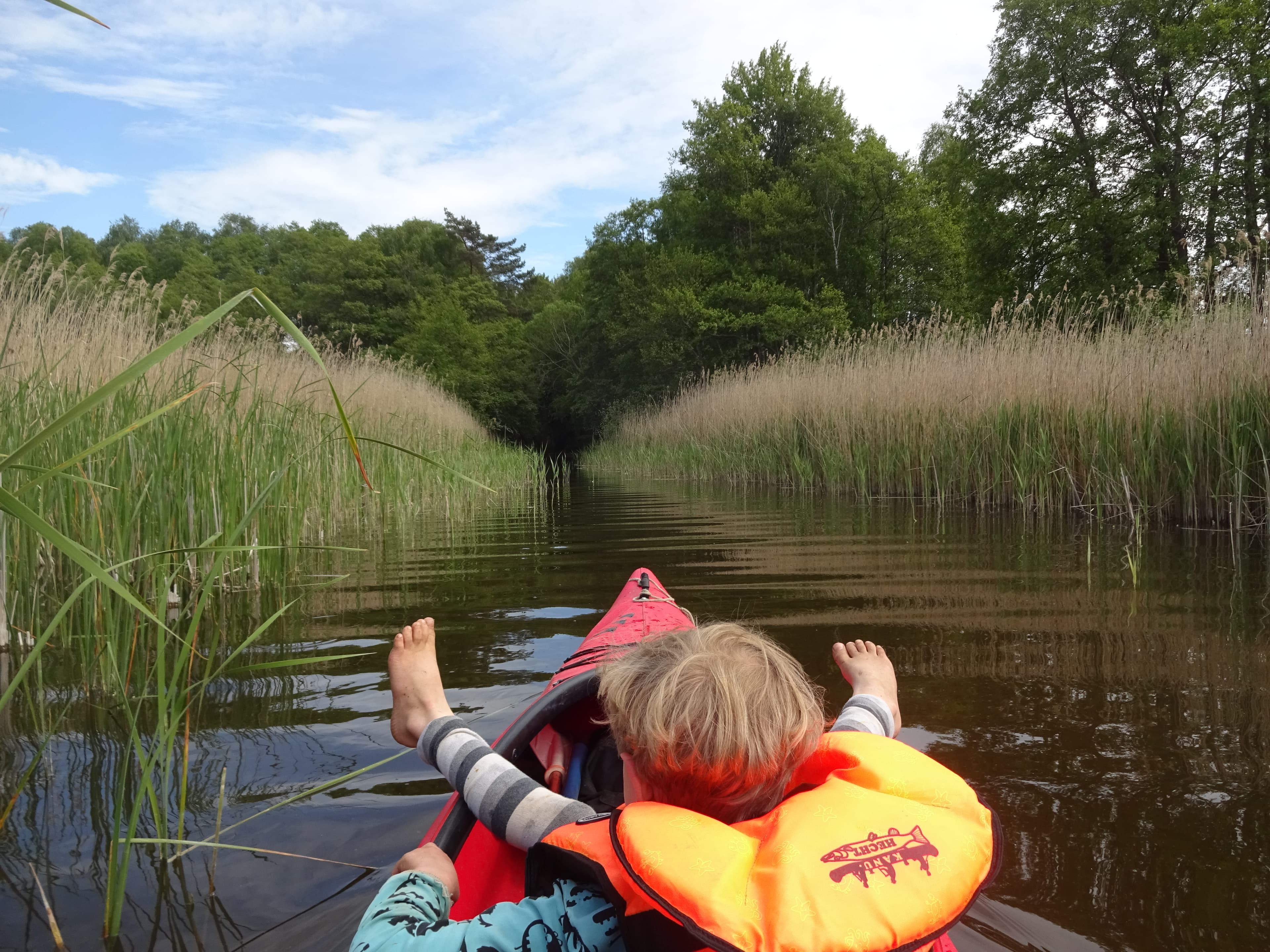 Havel Alm Kratzeburg | Paddeln auf der Havel