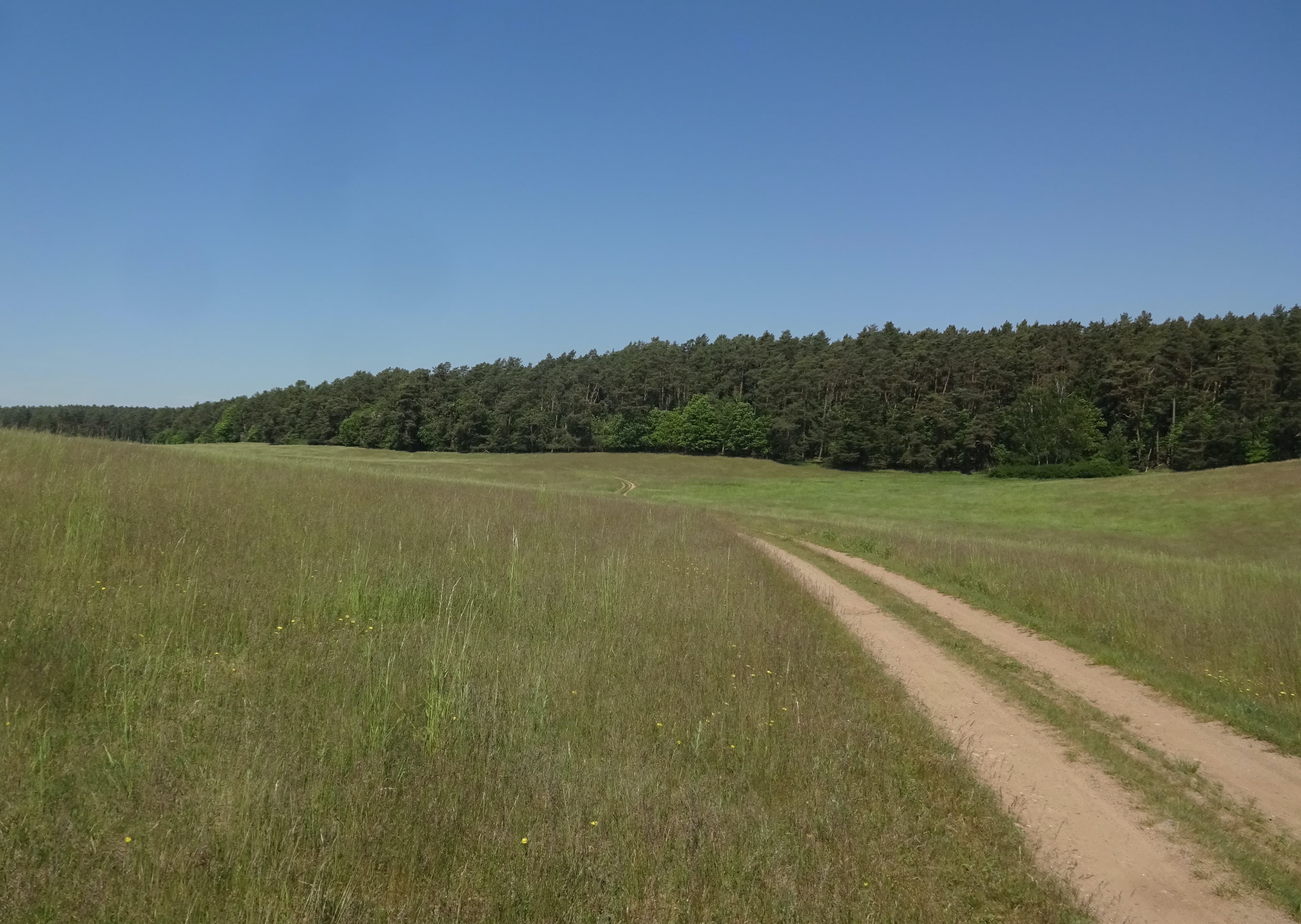 Havel Alm Kratzeburg | Weg von Dambeck nach Bornhof