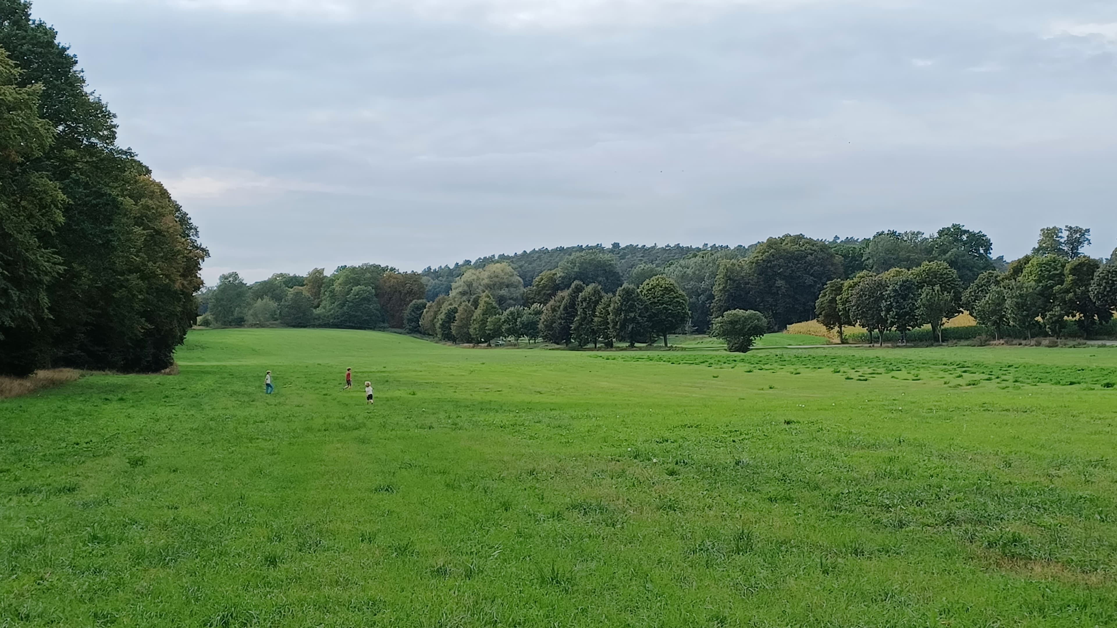 Havel Alm Kratzeburg | Wiesen zwischen Havelquelle und Ankershagen