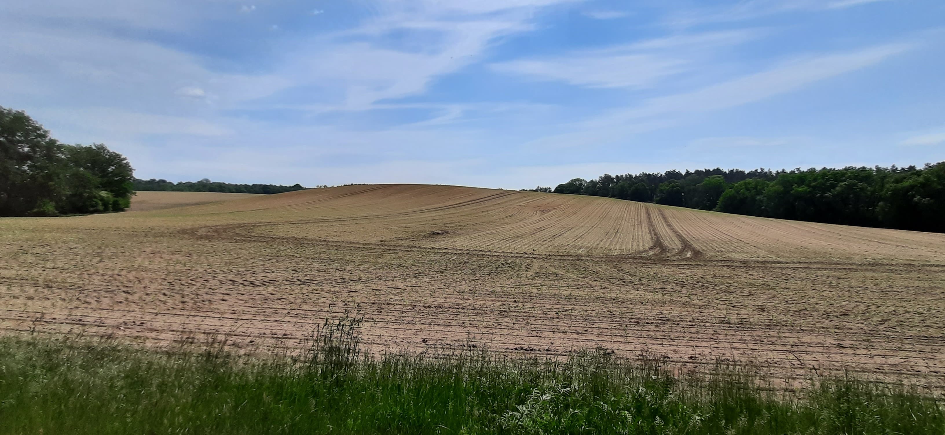 Havel Alm Kratzeburg | Zwischen Liepen und Klein Vielen